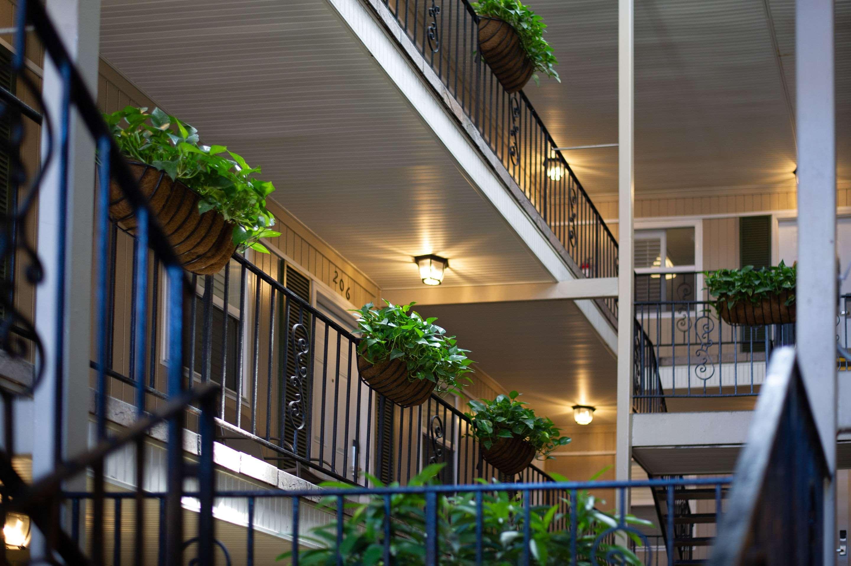 Frenchmen Orleans At 519, Ascend Hotel Collection New Orleans Esterno foto